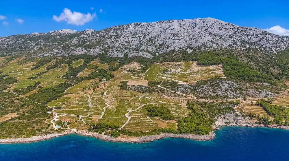 Pelješac — Wine, Oysters & Untamed Nature